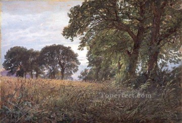テニスン ファーム ファーミントン ワイト島 SMG の風景 ウィリアム・トロスト・リチャーズ Oil Paintings